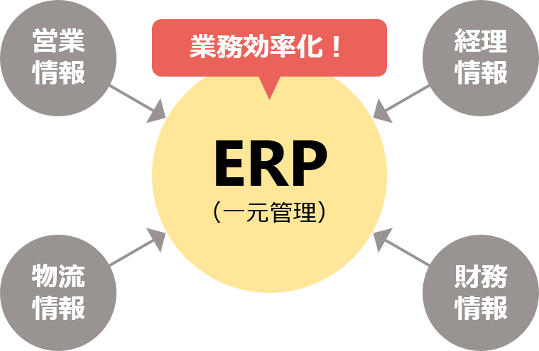 ERPパッケージとは クラウド14サービス比較＆企業導入のメリット・歴史・課題 ERP(基幹システム