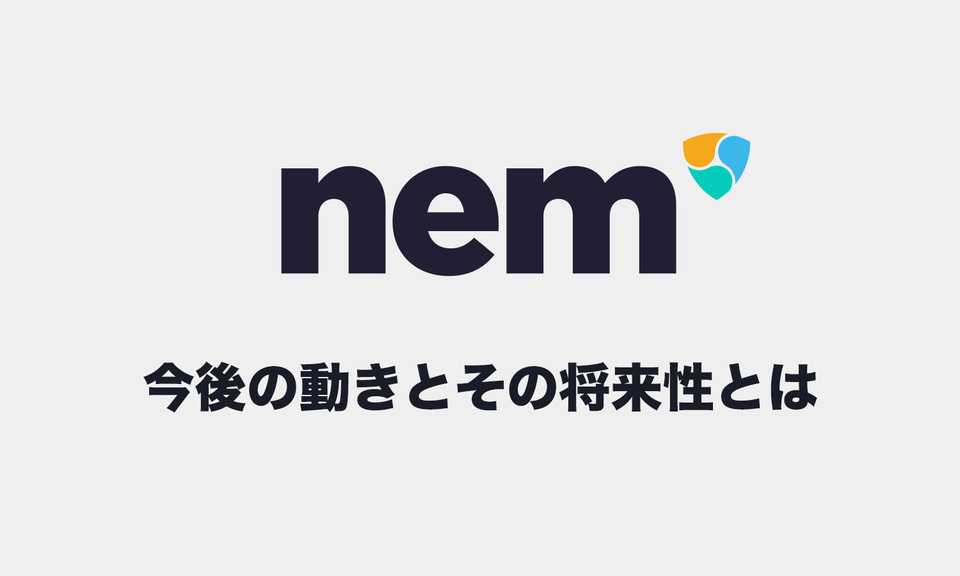 mijinのカタパルトを終えたネムの今後は?その特徴と可能性【2018年版】