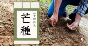 2022年の芒種はいつ?意味・由来・気候の変化とは?