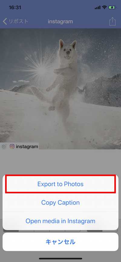 インスタグラムの画像は保存できる アプリ サービスでの保存方法を解説 Beyond ビヨンド