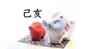 2019年の干支「己亥」どんな年に?意味・由来・十二支との違い・早見表